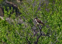 _ROY3251_01.jpg