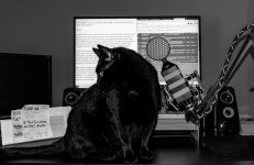 Dell On Desk B&W (1 of 1).jpg