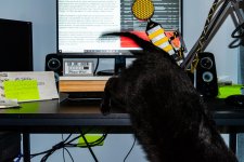 Dell Jumps Off Desk (1 of 1).jpg