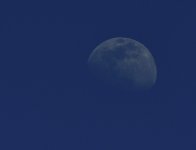 _ROY4135_01.jpg