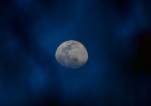 _ROY4525_01.jpg