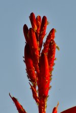 _ROY4629_01.jpg