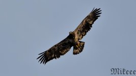 DSC_1173_01.jpg