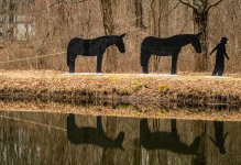 Boy Leading Horses 2 (1 of 1).jpg