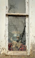 Werewolf Window (1 of 1).jpg