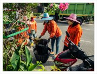 cleaning-10.jpg