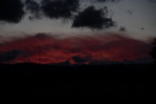1-_7506501.jpg