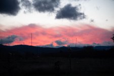 1-_7506504.jpg