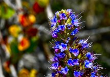 _ROY5904_01.jpg