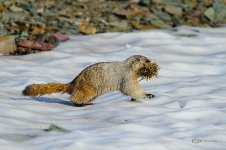 DSC_9284.jpg