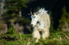 DSC_9292.jpg