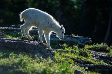 DSC_9312.jpg