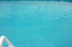 IMG_20130714_144412.jpg