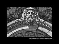 B&W-1.jpg