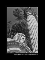 B&W-2.jpg