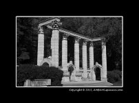 B&W-4.jpg