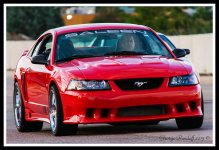 Day196Mustang.jpg