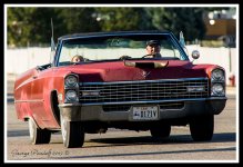 Day196Cadillac.jpg