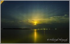 DSC__WLP_0001-62.jpg