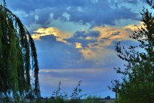 LATE EVENING 005.jpg