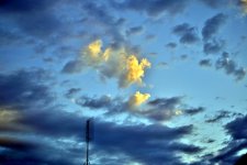 LATE EVENING 008.jpg