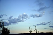 LATE EVENING 034.jpg