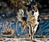 _DSC0234-Edit-Edit.jpg