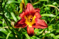 DSC_8628.jpg