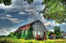 barn HDR_tonemapped with buzzards800.jpg