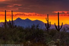 _DW16369_HDR-DShrpDis.jpg
