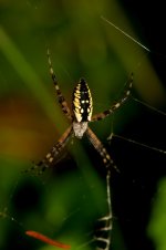 DSC_1334 -1 (533x800).jpg