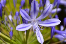 DSC_0126.jpg