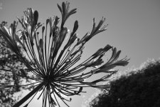 DSC_0142.jpg