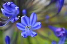 DSC_0186.jpg