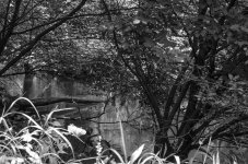 20130717-_1RB8580.jpg