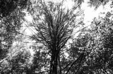 20130718-_1RB8583.jpg