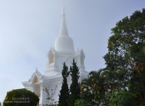 wat-1.jpg