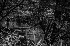 20130717-_1RB8580-2.jpg