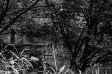 20130717-_1RB8580-3.jpg