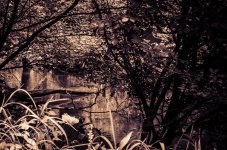 20130717-_1RB8580-4.jpg