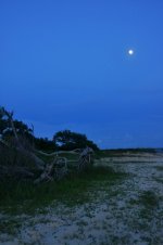 White Point Moonrise.jpg