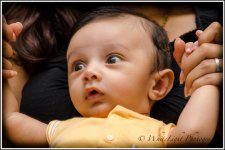 DSC__WLP_0001-76.jpg