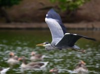 DSC_7884.JPG