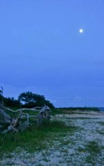 White Point  Moonrise-2.jpg
