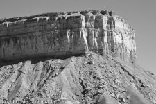 DSC_0239.jpg