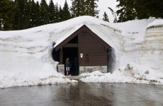 PACKWOOD 081.jpg