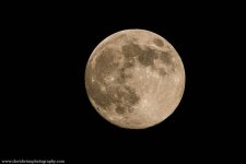 _DW26969-Shrp-2.jpg