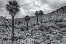 _DW16763_HDR-BW-ShrpDis.jpg