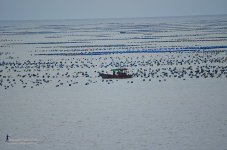 sea-1.jpg