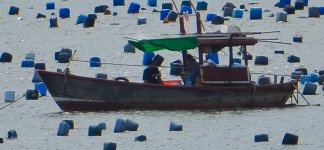 sea-2.jpg